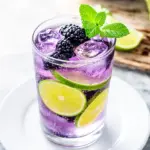 fresh blackberry lime lemonade - featured image