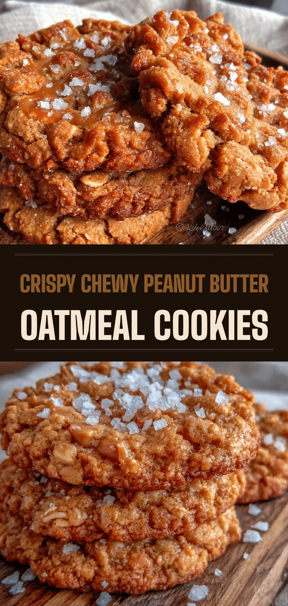 Chewy Peanut Butter Oatmeal Cookies with Sea Salt 5 chewy peanut butter oatmeal cookies recipe