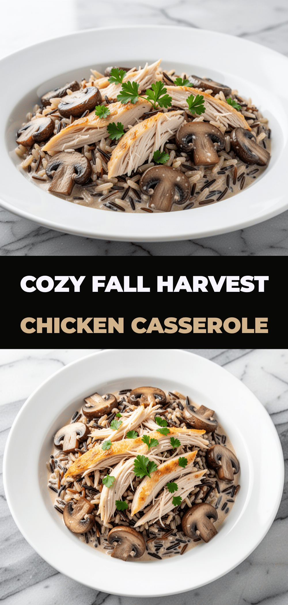 Fall Harvest Chicken and Wild Rice Casserole: Easy Comfort Food 5 fall harvest chicken and wild rice casserole recipe
